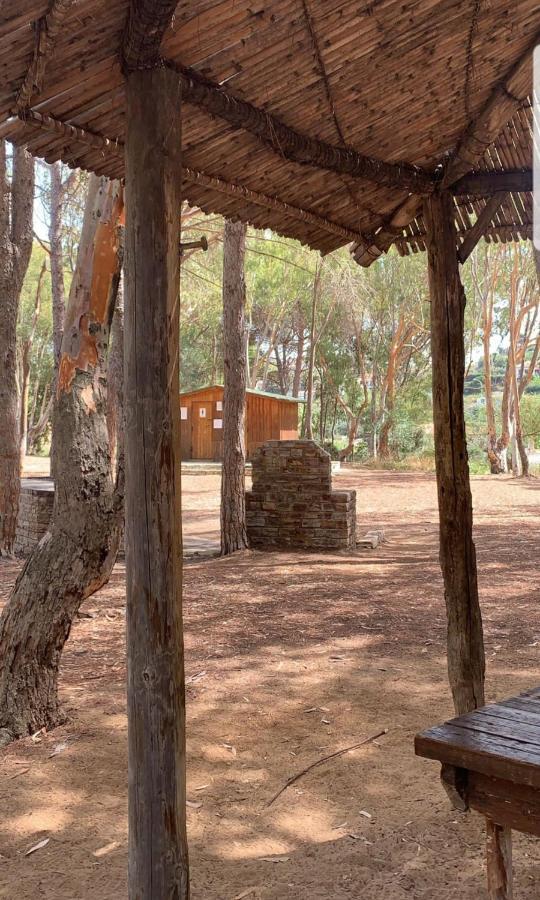 Casa Vacanza "Fortuna" Balestrate Bagian luar foto